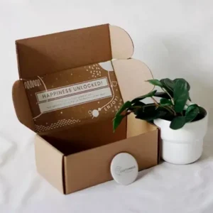 Custom Kraft Apparel Boxes